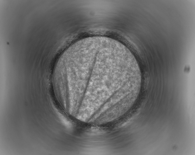 X0000090630641200708141435