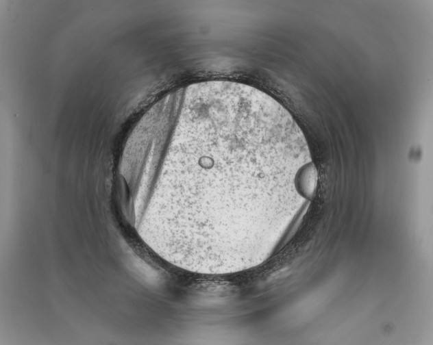 X0000090630642200708141435