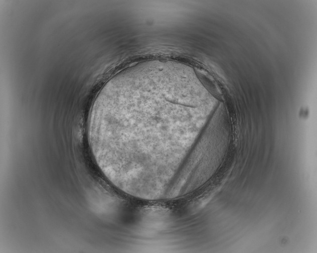 X0000090630644200708141435