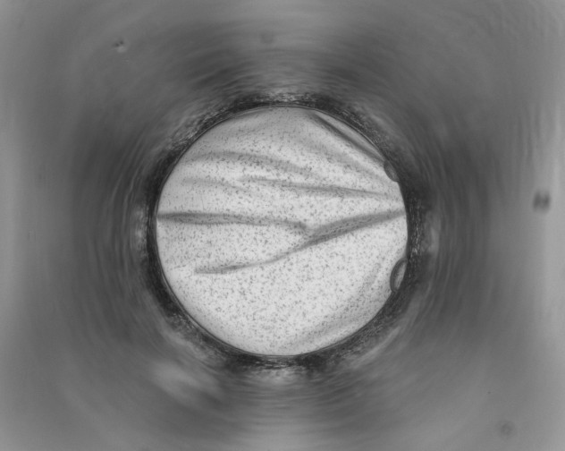 X0000090630646200708141435