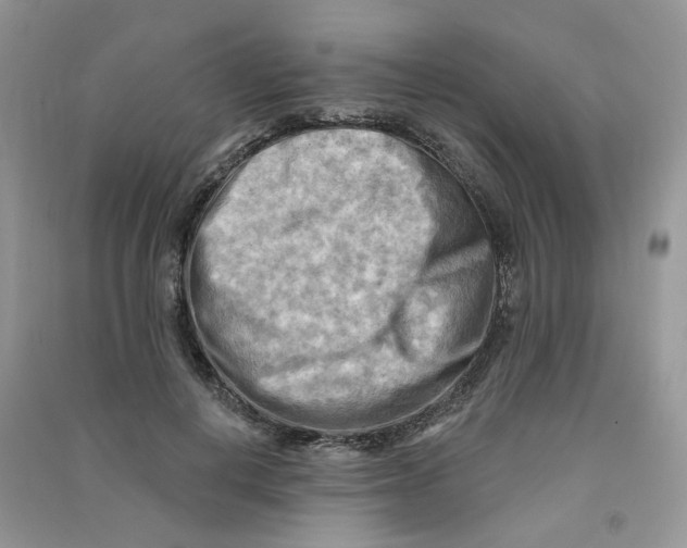 X0000090630648200708141435