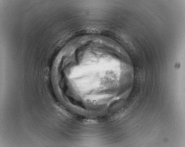 X0000090630649200708141435