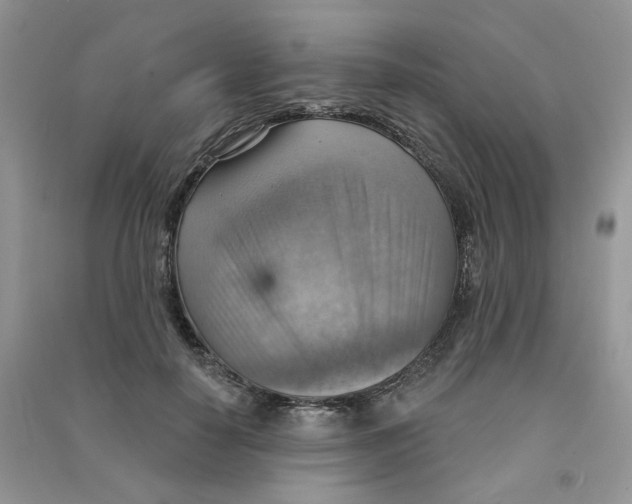X0000090630650200708141435