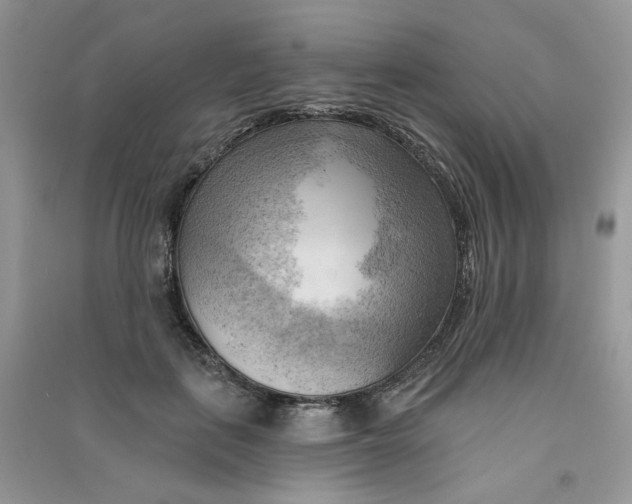 X0000090630651200708141435