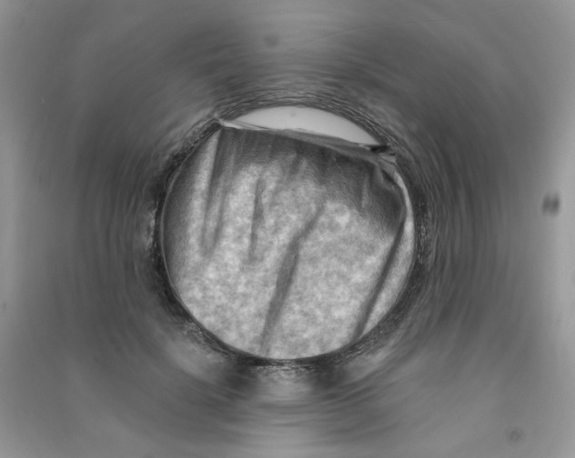 X0000090630652200708141435