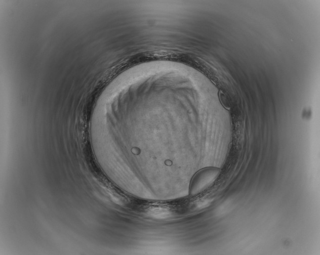 X0000090630653200708141435