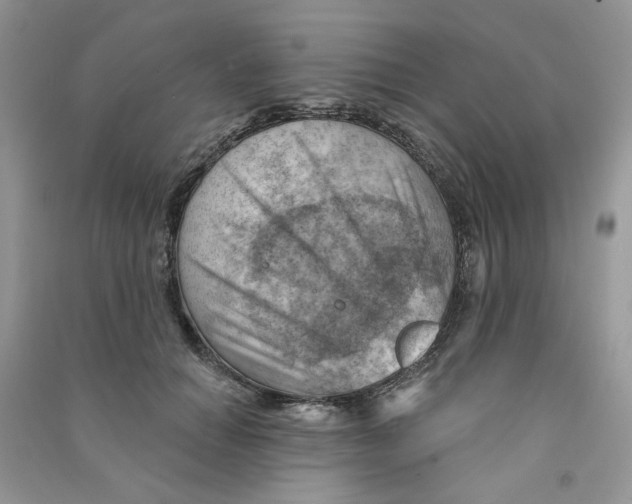 X0000090630654200708141435