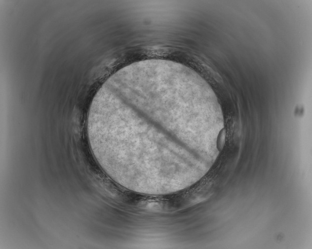 X0000090630655200708141435