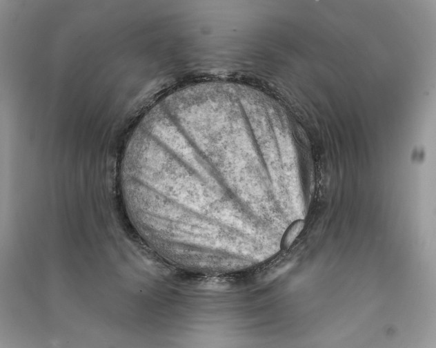 X0000090630656200708141435