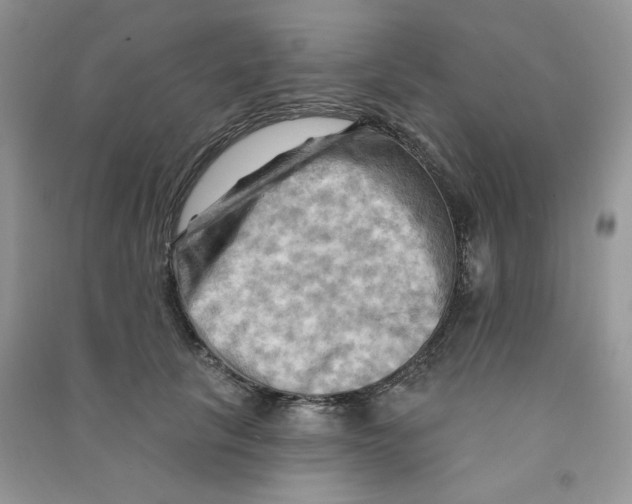 X0000090630657200708141435