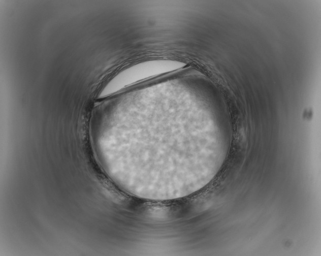 X0000090630658200708141435
