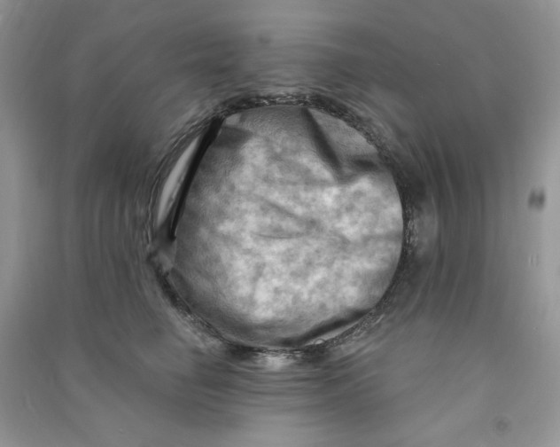 X0000090630662200708141435