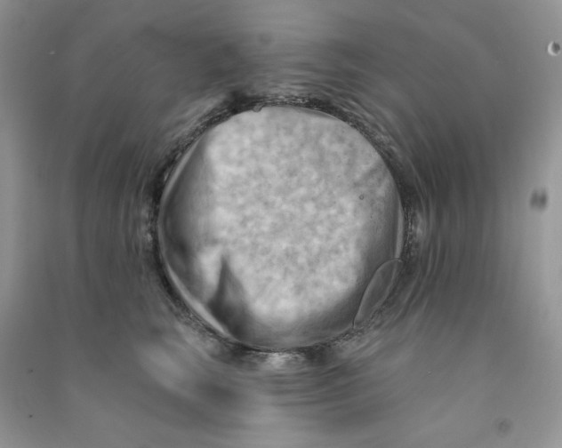 X0000090630663200708141435
