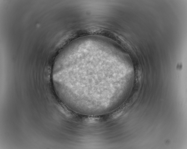 X0000090630664200708141435