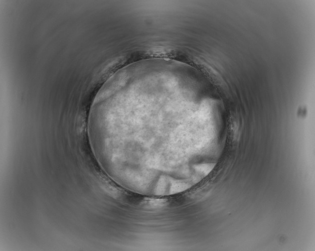 X0000090630665200708141435