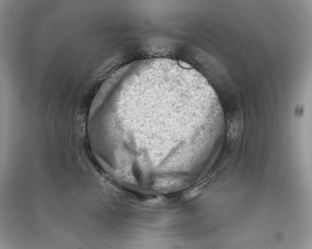 X0000090630666200708141435
