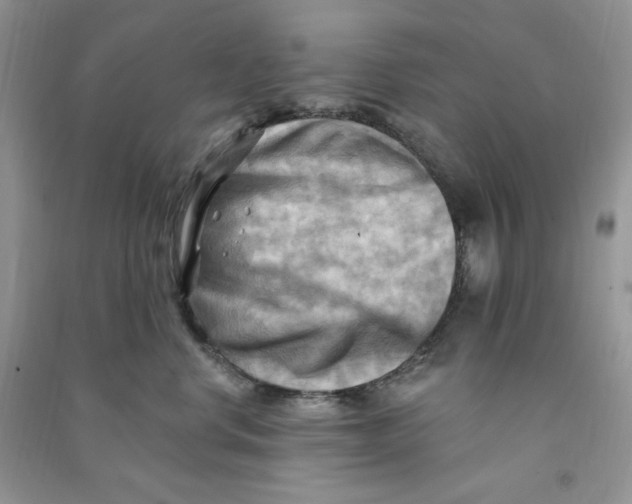X0000090630668200708141435