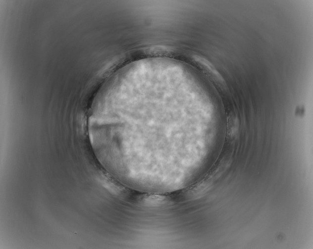 X0000090630669200708141435