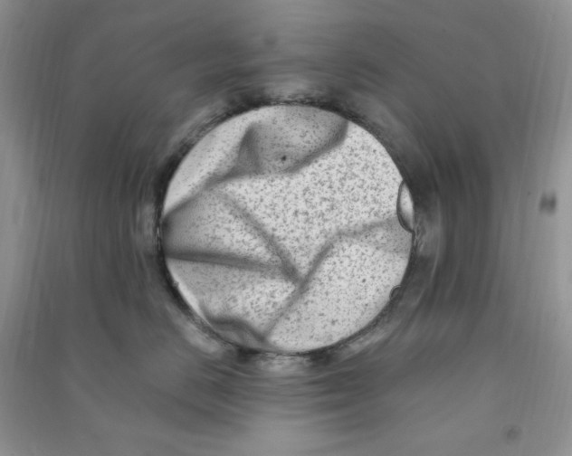 X0000090630670200708141435