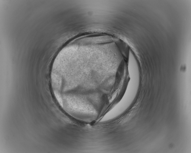 X0000090630673200708141435