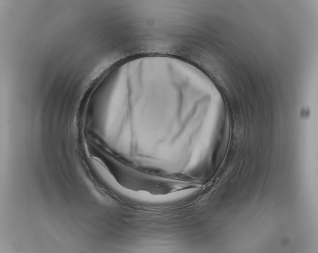 X0000090630674200708141435