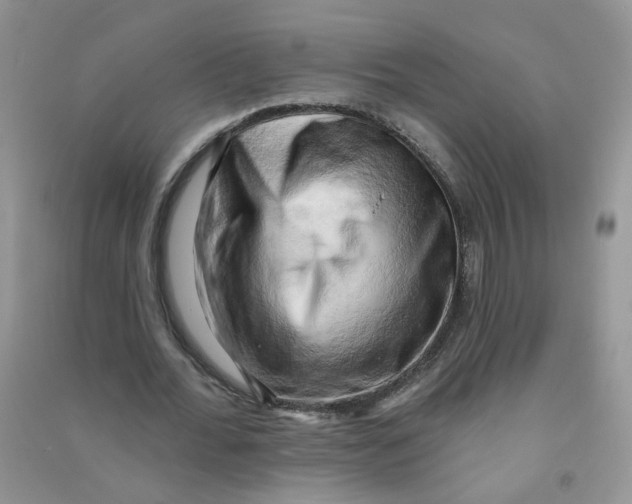 X0000090630676200708141435