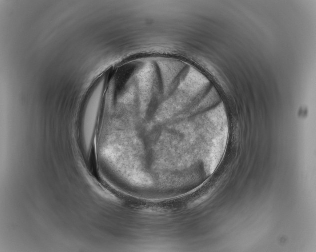 X0000090630677200708141435