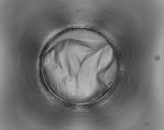 X0000090630678200708141435