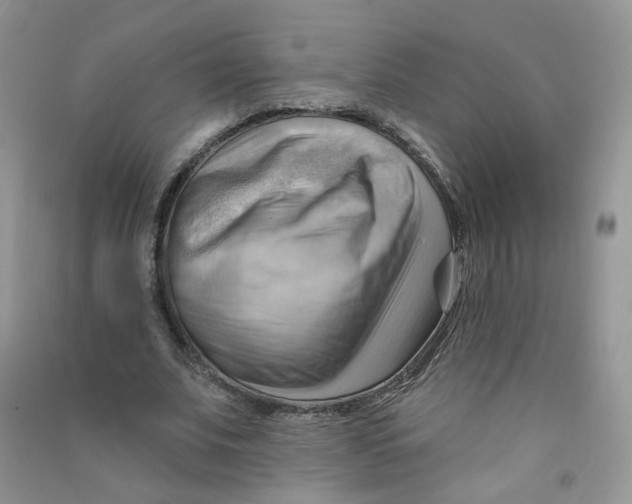 X0000090630679200708141435