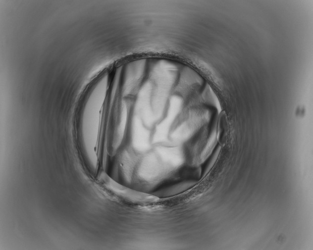 X0000090630680200708141435
