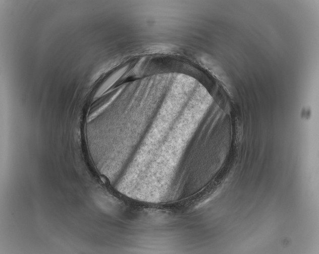 X0000090630681200708141435