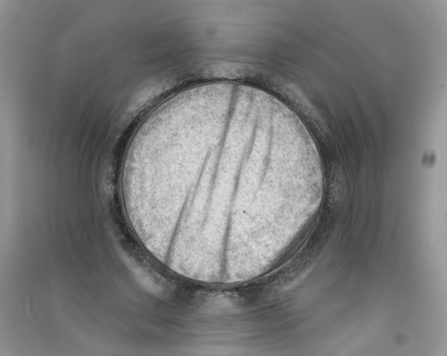 X0000090630683200708141435