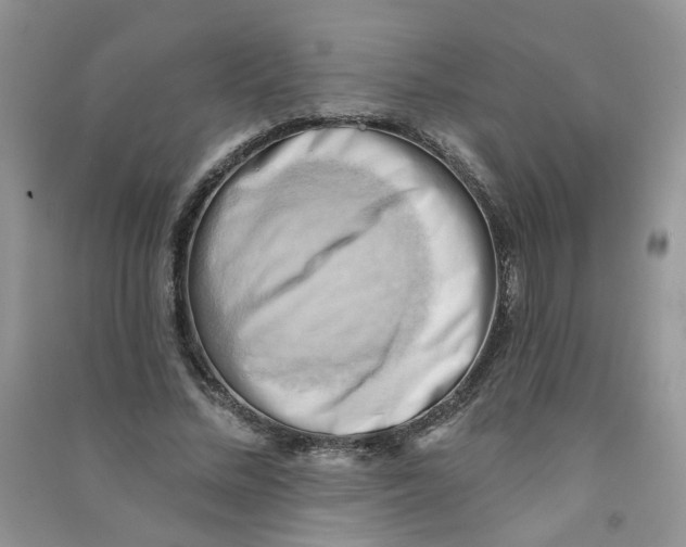 X0000090630684200708141435