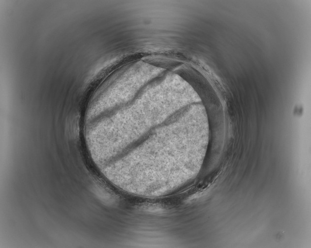 X0000090630685200708141435