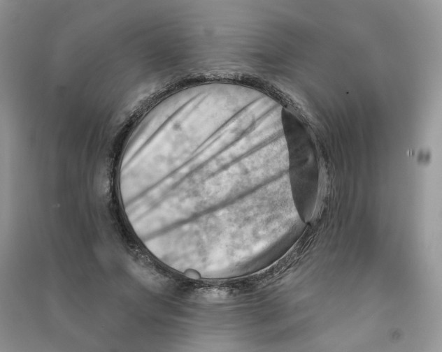 X0000090630687200708141435