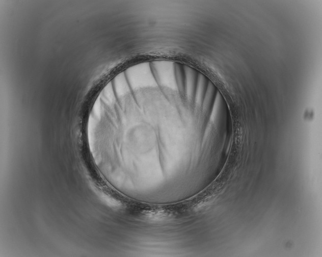 X0000090630688200708141435