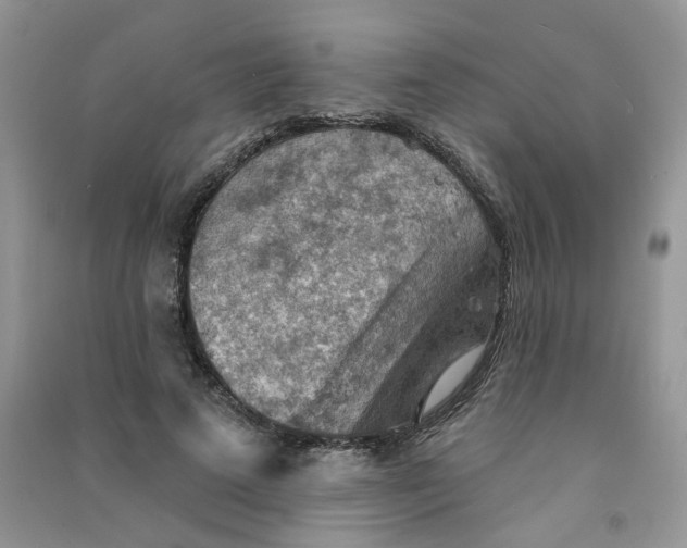 X0000090630689200708141435