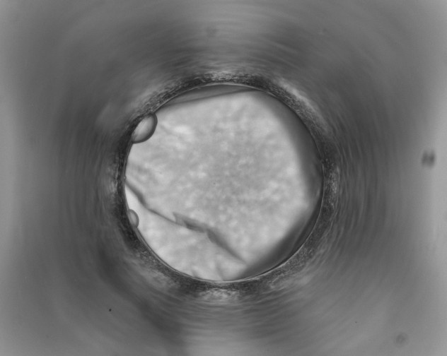 X0000090630691200708141434