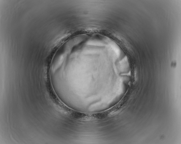 X0000090630696200708141434