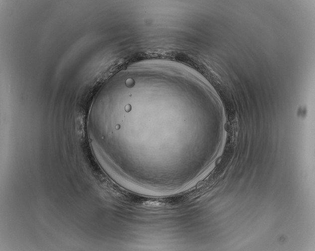 X0000090630699200708141434