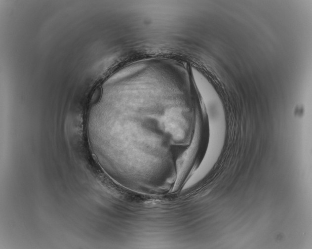 X0000090630700200708141434