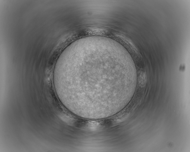 X0000090630701200708141434