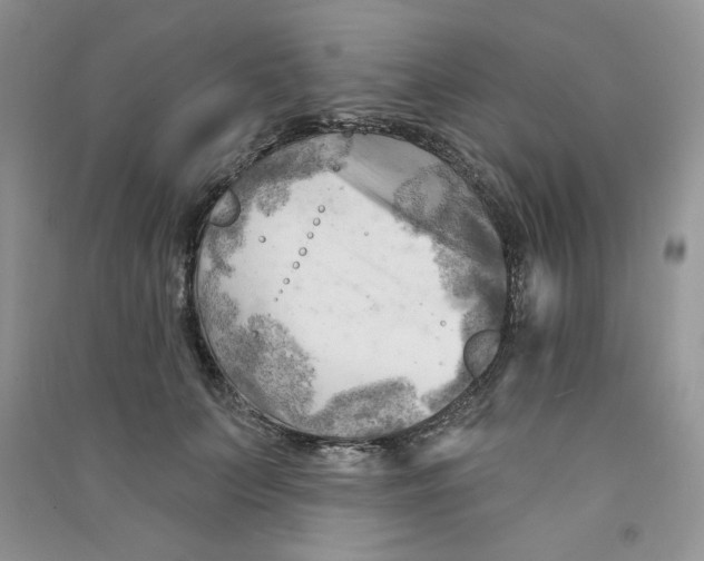 X0000090630703200708141434