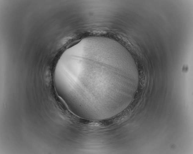 X0000090630704200708141434