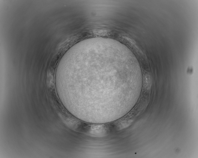 X0000090630705200708141434