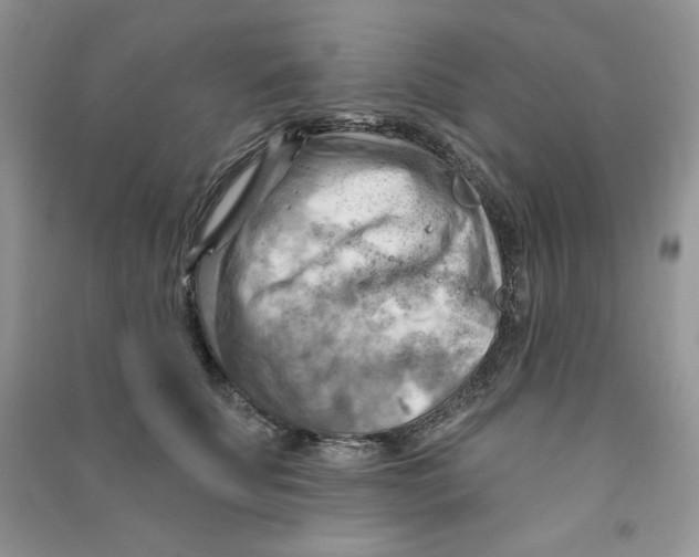 X0000090630707200708141434