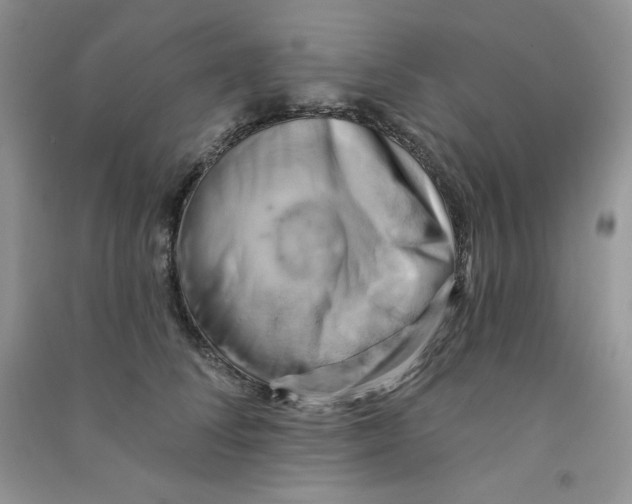 X0000090630708200708141434