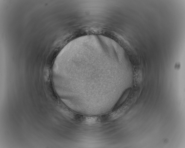 X0000090630709200708141434