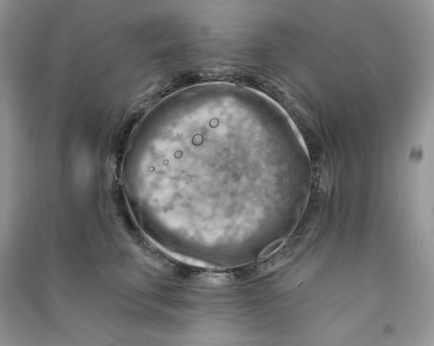 X0000090630711200708141434