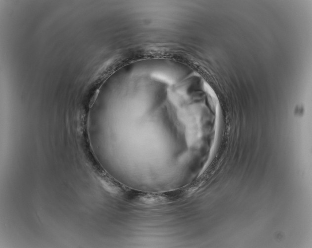 X0000090630712200708141434
